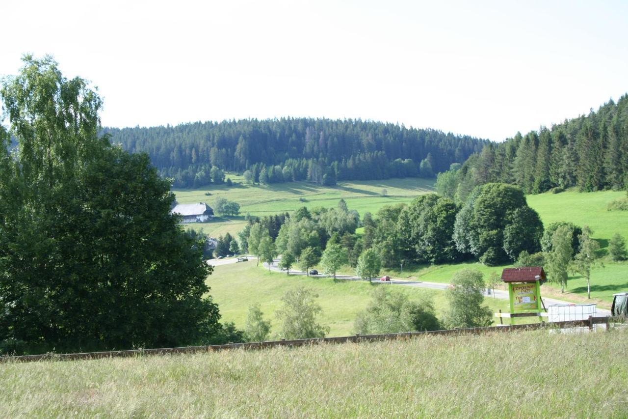 Black-Forest Holiday - Ferienresort Am Schluchsee Exterior photo